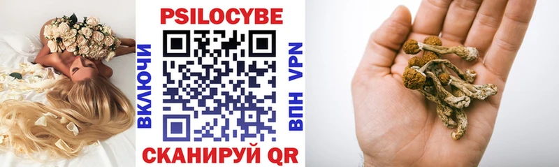 купить  сайты  Окуловка  Галлюциногенные грибы мухоморы 